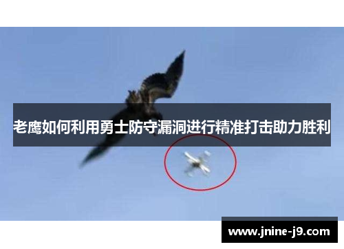 老鹰如何利用勇士防守漏洞进行精准打击助力胜利